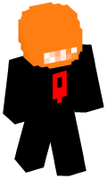 Skinfile