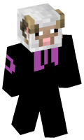 Skinfile