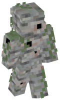 Skinfile
