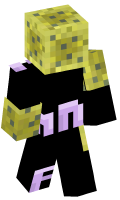 Skinfile