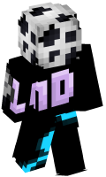 Skinfile