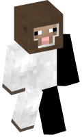 Skinfile