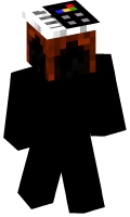 Skinfile