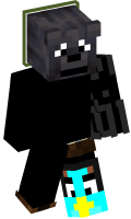 Skinfile