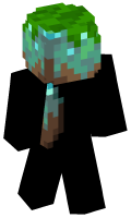 Skinfile