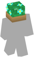 Skinfile