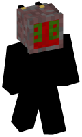 Skinfile