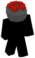Skinfile