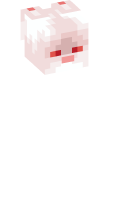 Skinfile