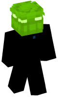 Skinfile