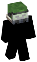 Skinfile