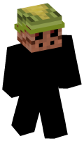 Skinfile