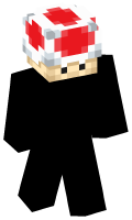 Skinfile