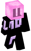 Skinfile
