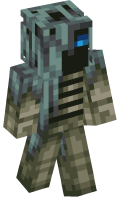 Skinfile