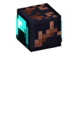 Skinfile