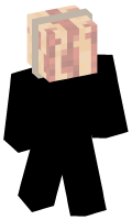 Skinfile