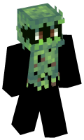Skinfile