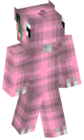 Skinfile