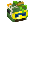 Skinfile