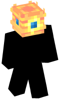 Skinfile
