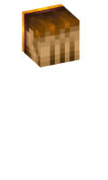 Skinfile