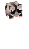 Skinfile