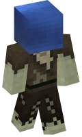 Skinfile