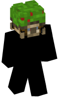 Skinfile