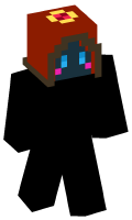 Skinfile