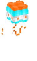 Skinfile