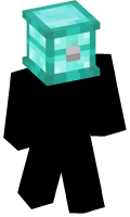 Skinfile