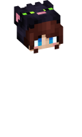Skinfile