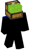 Skinfile