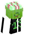 Skinfile