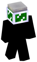 Skinfile