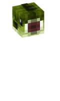 Skinfile