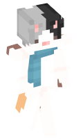 Skinfile