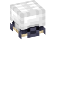 Skinfile