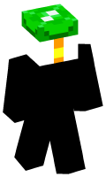 Skinfile