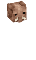 Skinfile