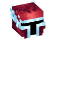 Skinfile