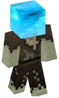 Skinfile