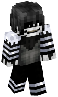 Skinfile