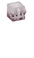 Skinfile