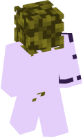 Skinfile