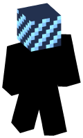 Skinfile