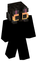 Skinfile