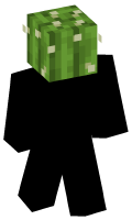 Skinfile