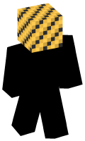 Skinfile